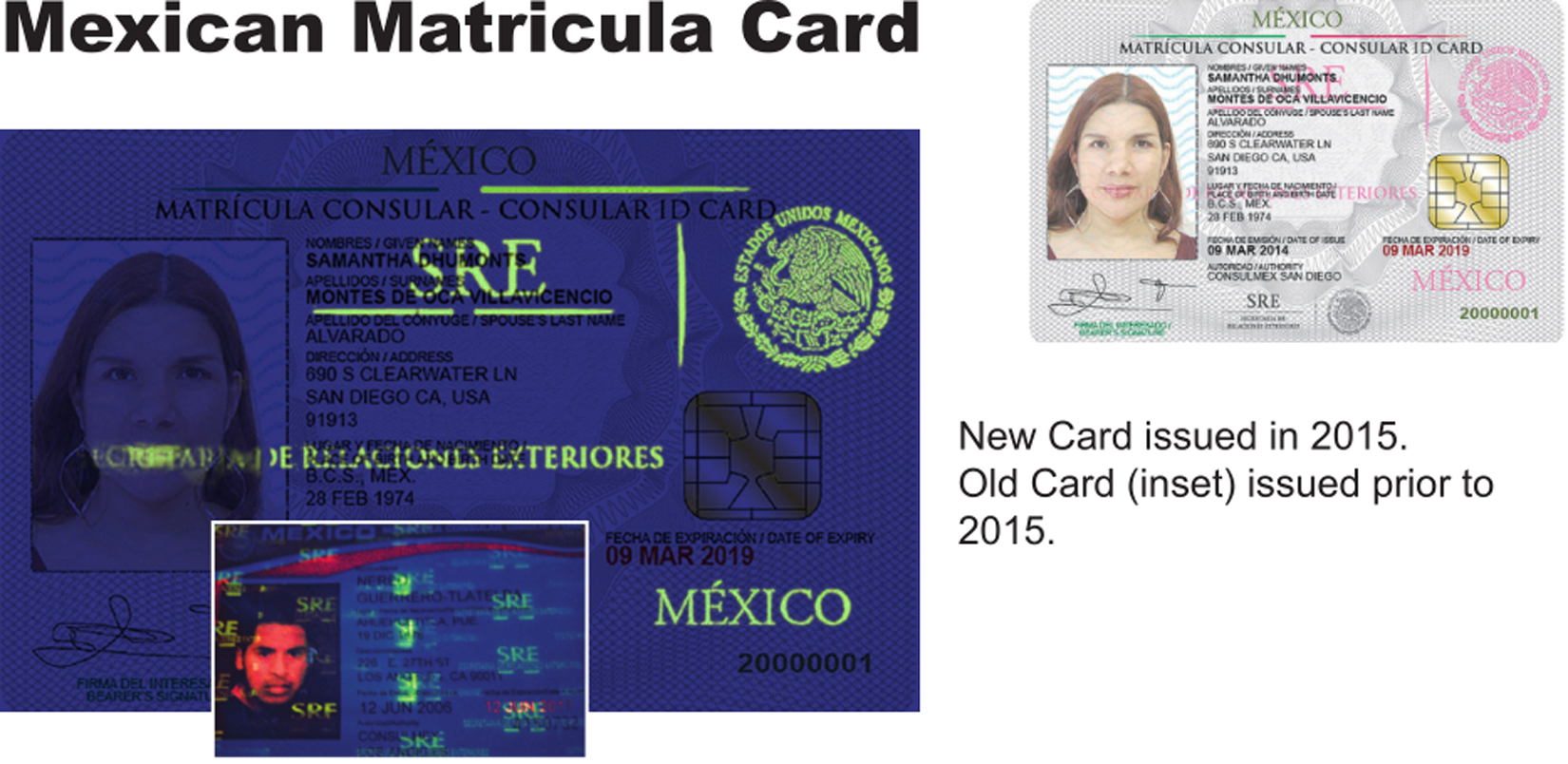 mexico tourist card fake